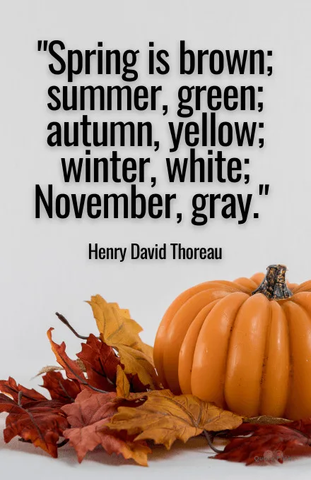 Quotes for November