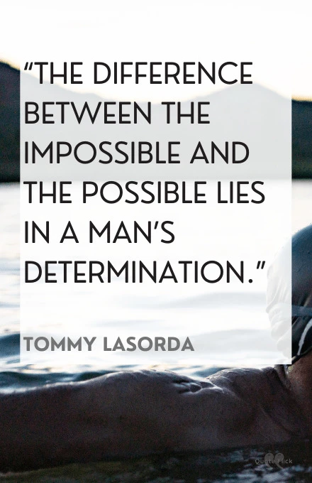 Quotes for determination