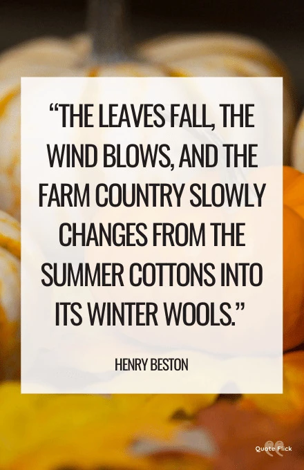 Quotes on autumn