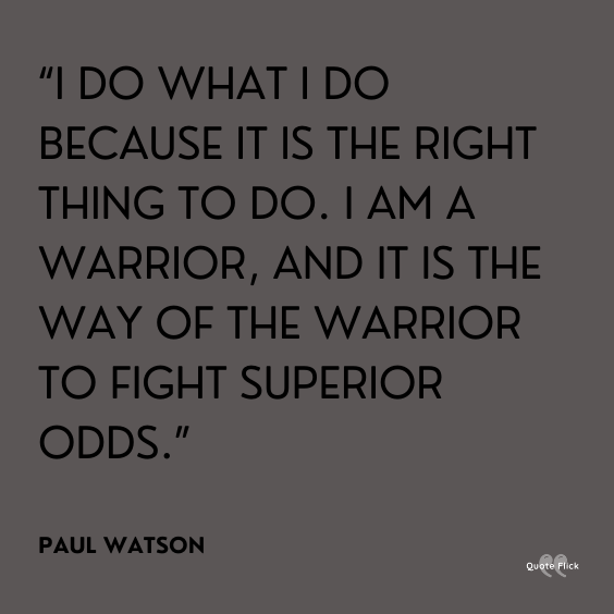 Quotes warriors