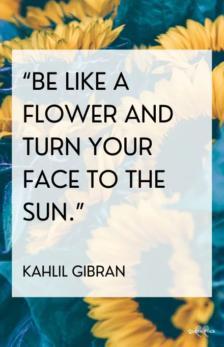 sunflower inspirational quote