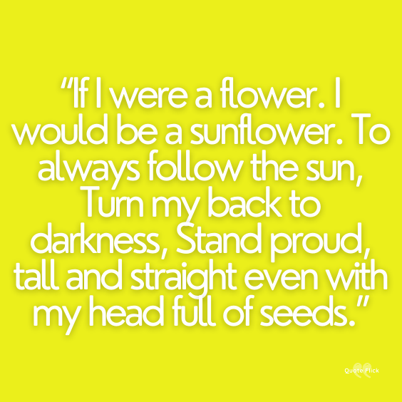 sunflower quotes short