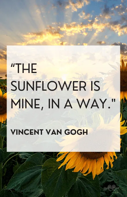 sunflower sayings