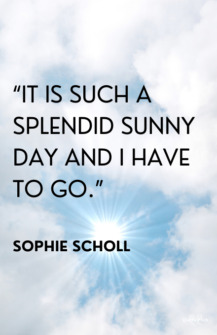 30 Beautiful Sunshine Quotes To Uplift You And Inspire You