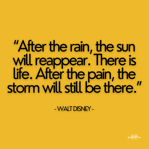 sunshine after the rain quotes