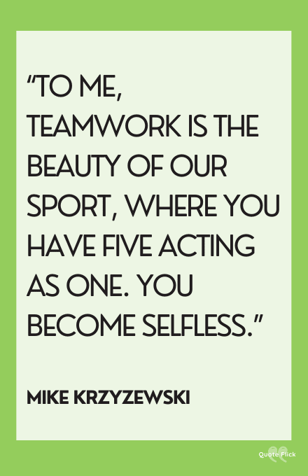 Teamwork quotation