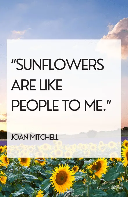 The sunflower quote