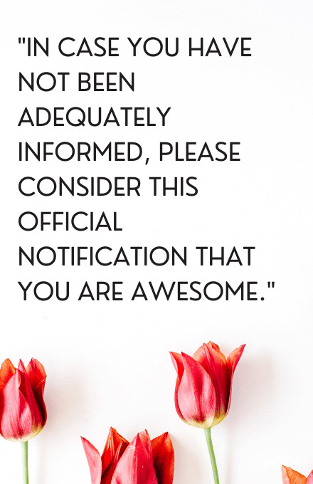 you are awesome quotes