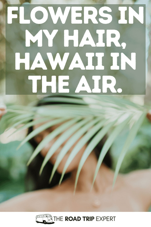 hawaii captions for instagram
