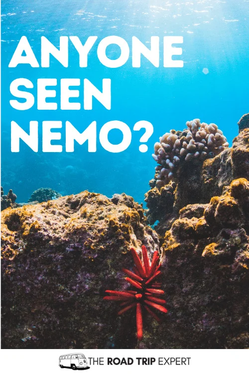 scuba diving captions for instagram