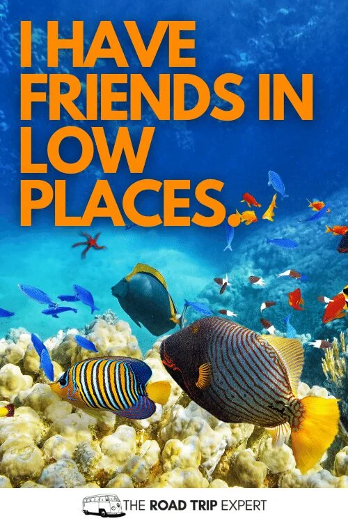 scuba diving captions