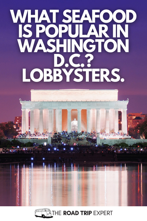 dc instagram captions