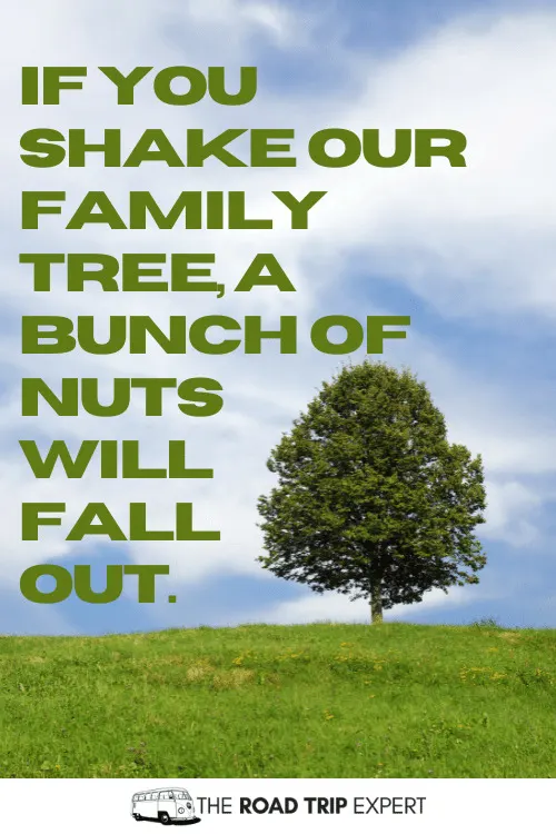 family photo captions