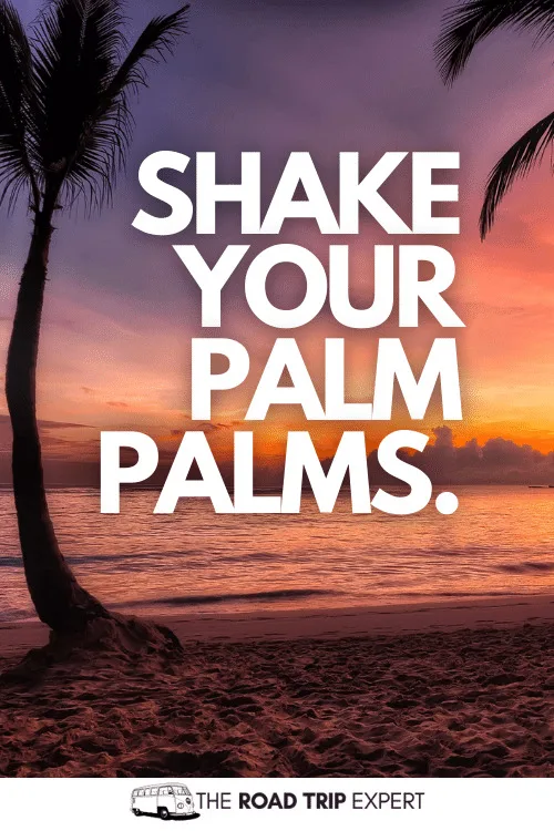 tropical captions for instagram