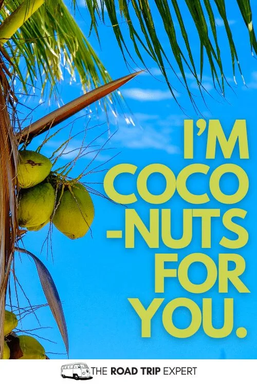 tropical vacation captions