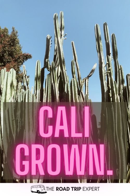 California captions