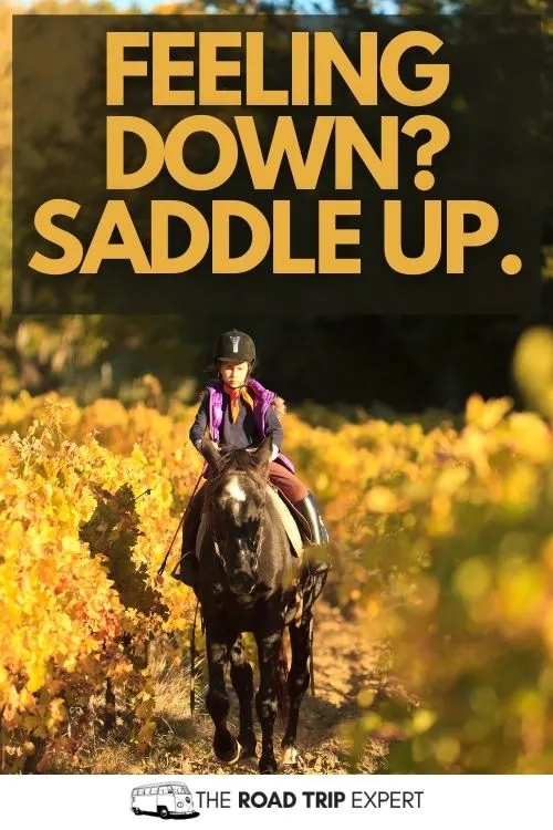 horse instagram captions