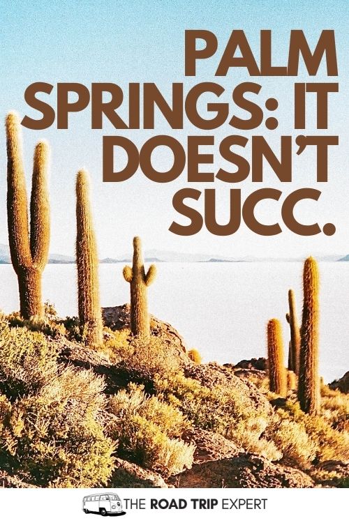 palm springs captions 