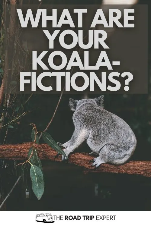 zoo captions instagram