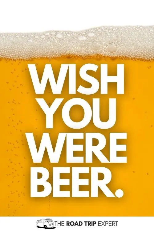 Beer Puns for Instagram