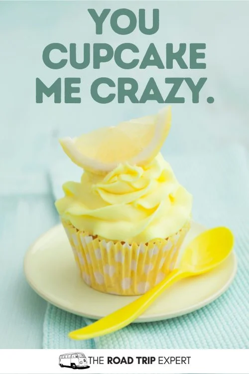 Cupcake Puns