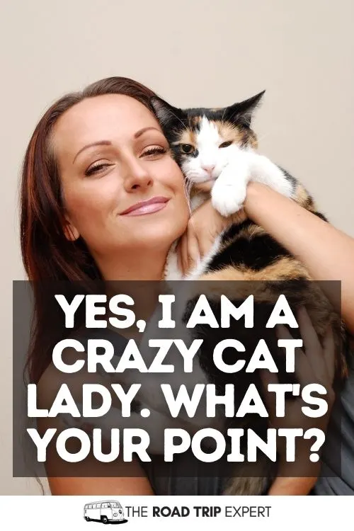 Instagram Captions for Cats