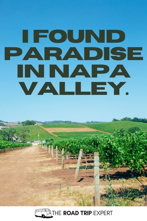 Napa Captions