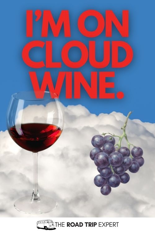 Napa Puns
