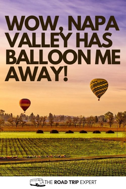 Napa Valley Puns