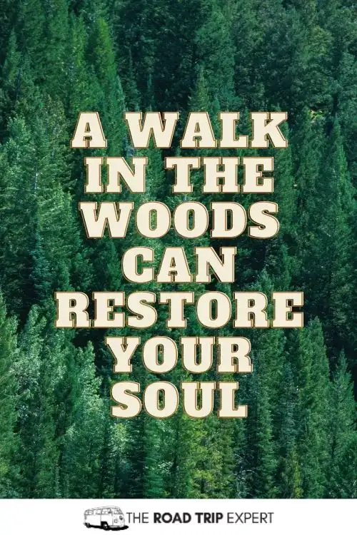 Walking Captions for Instagram