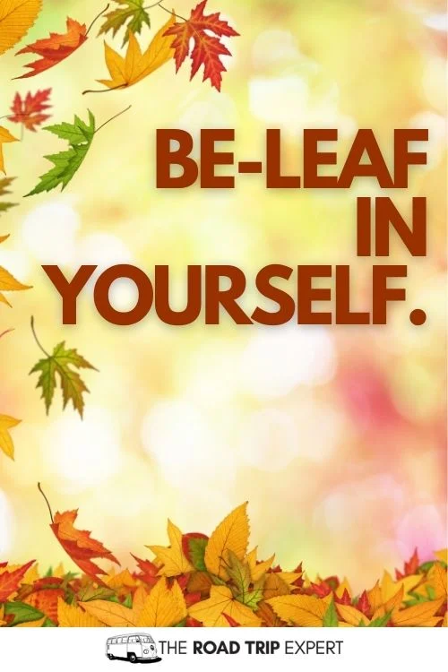 Fall Puns