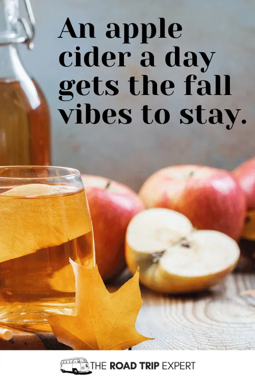 Funny Fall Captions