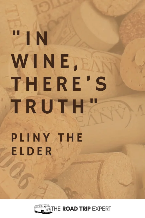 Wine Quotes for Instagram