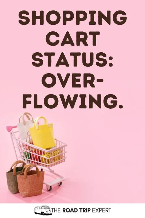 Shopping Caption for Instagram