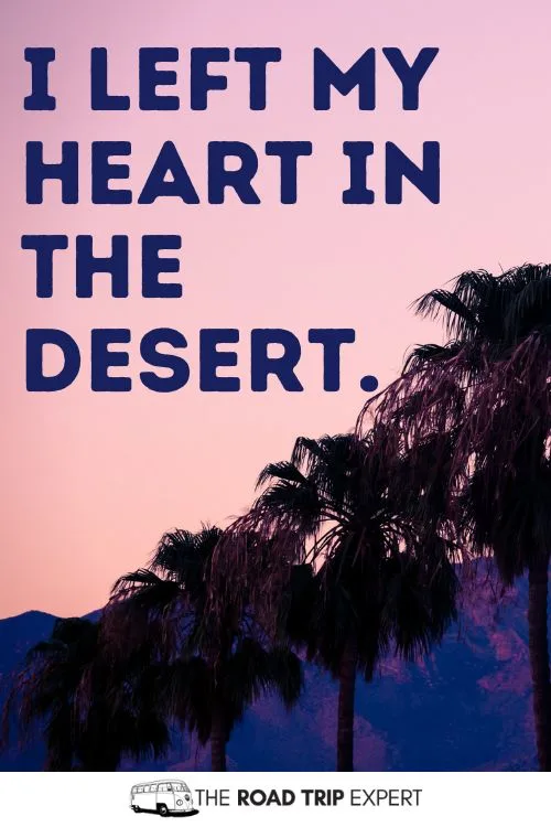 Best Coachella Captions