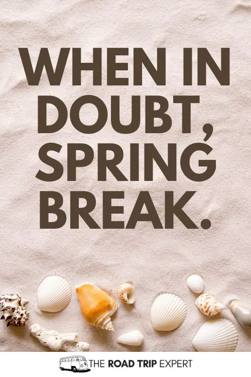 Spring Break Insta Captions