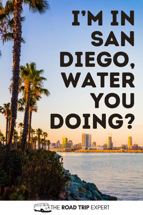 San Diego Puns