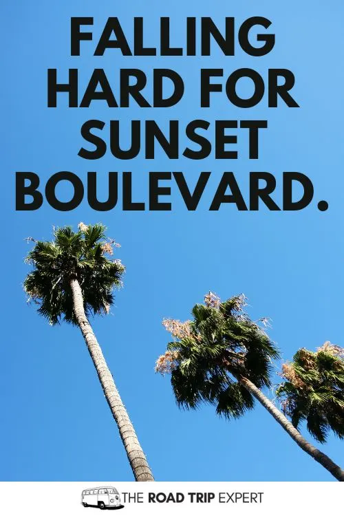 Beverly Hills Captions for Instagram