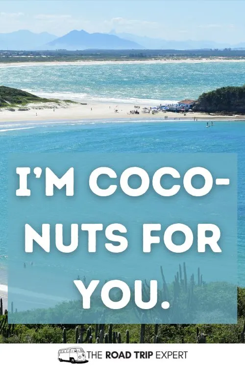 Cabo Puns for Instagram