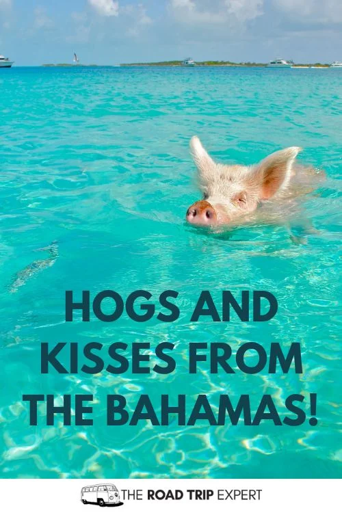 Bahamas Instagram Captions