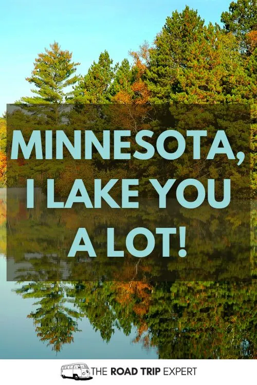 Minnesota Puns