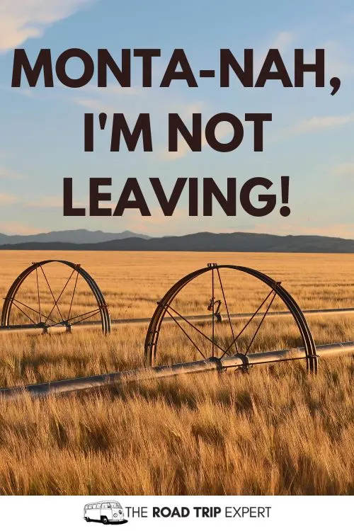 Montana Puns