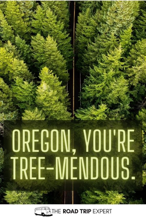 Oregon Puns