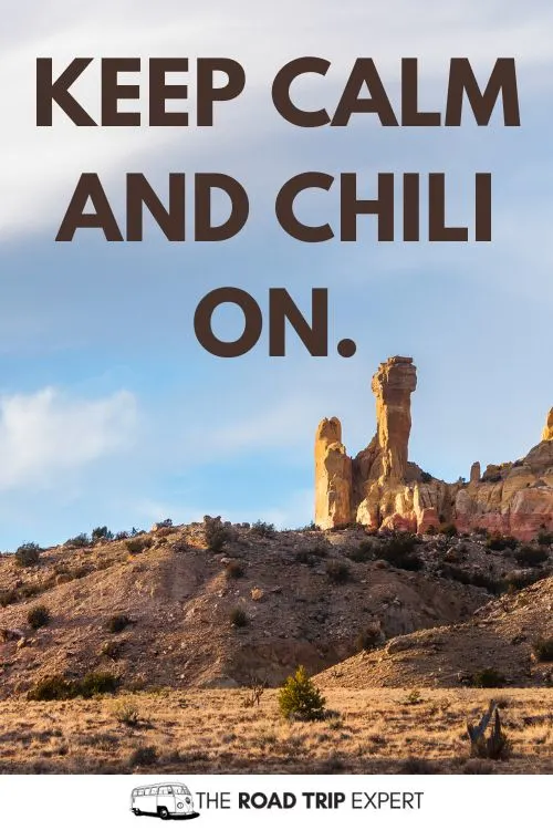 New Mexico Puns for Instagram