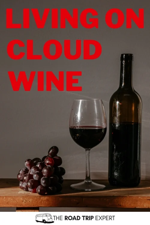 Chill Puns for Instagram