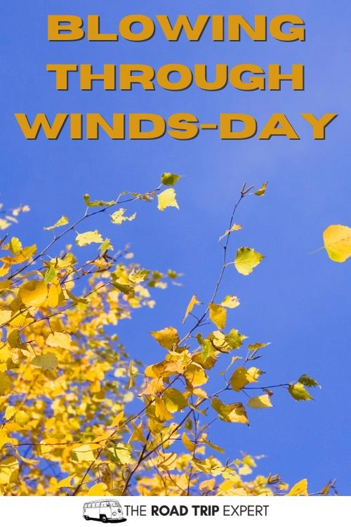 Wednesday puns for Instagram