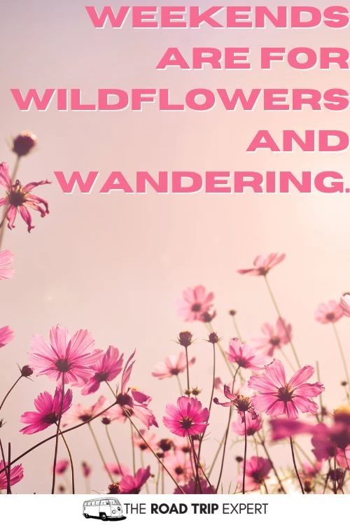 Weekend Instagram captions