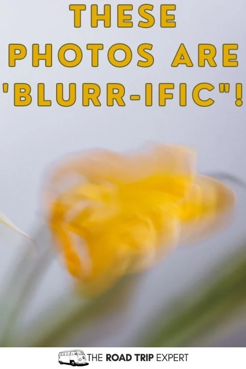 Blurred picture quotes