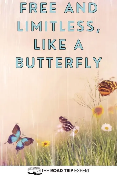 Butterfly captions for Instagram