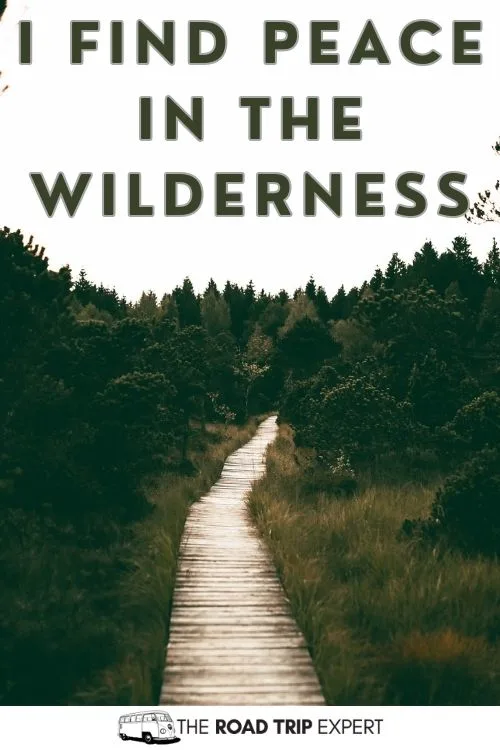 Deer Hunting Captions